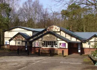 kinema in the woods